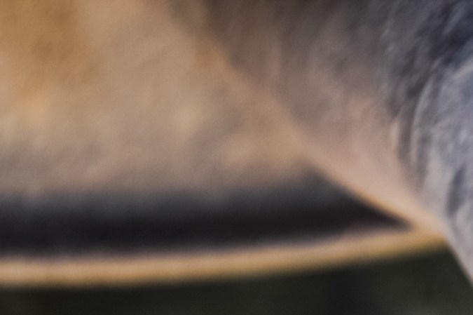 poco mantenimiento en el sistema de escape