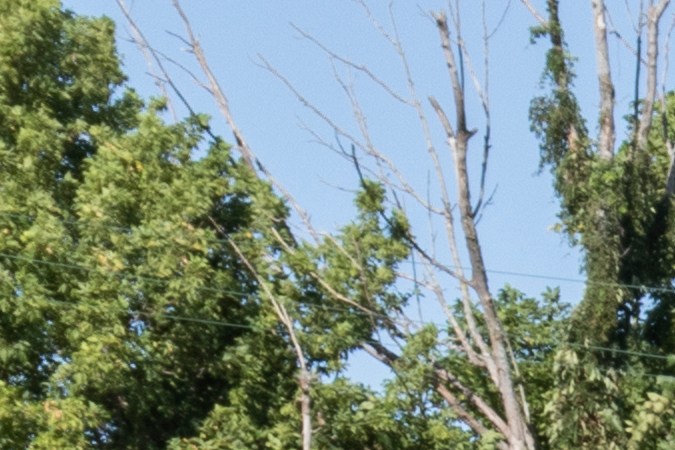 Ford Escape ha tenido problemas con su sistema de combustión.