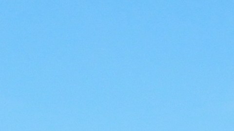 Gasolina barata en Florida para el 4 de julio: ¡Ahorra en tu viaje!