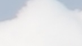 Los autos japoneses son bastante vendidos en Estados Unidos.