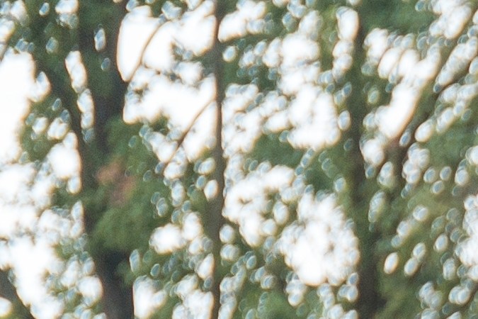 niños cruzando paso de peatones