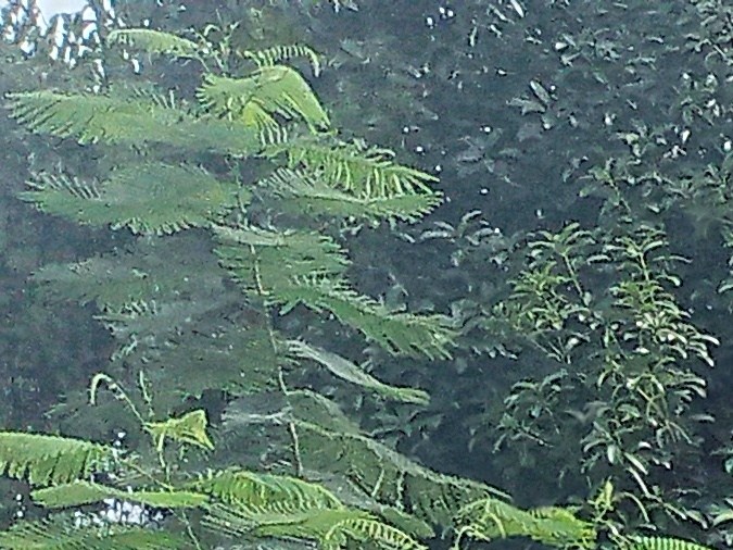 camión de reparto remolcado por infracción