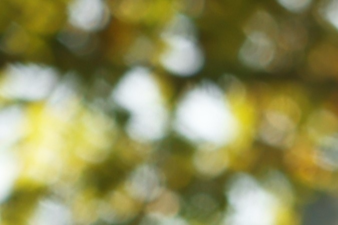 examen de manejo para la licencia de conducir