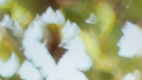 escuela de manejo para practicar la conducción