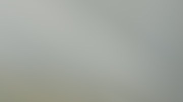 preferencia de paso en Estados Unidos