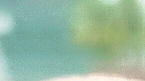 programa conductores seguros nj