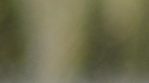 prueba de aliento con el alcoholímetro