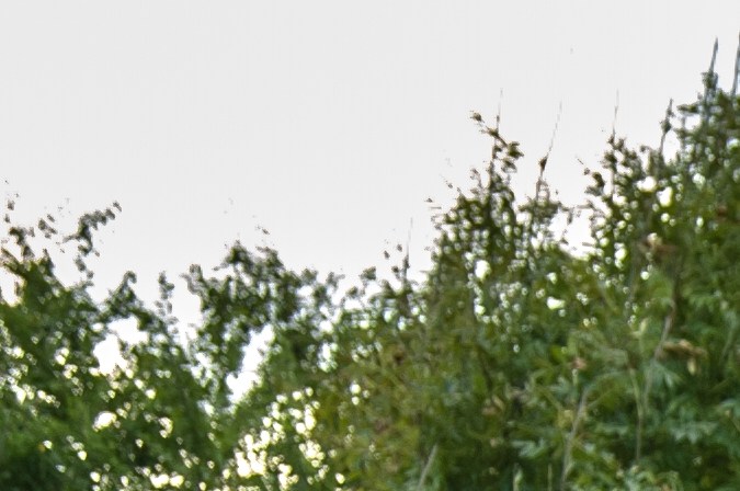 Ram 1500 TRX es la versión más poderosa de la línea 1500.