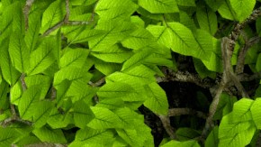 bloqueo de ruedas del auto