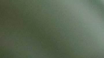 sentidos involucrados en la conducción