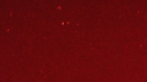 Los SUV se venden en diferentes tamaños.