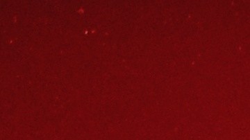 Los SUV se venden en diferentes tamaños.