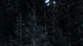 Lamborghini Urus SE tiene más de 700 caballos de fuerza.