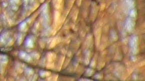 Ley de Virginia castiga a dueños por menores sin licencia al volante.