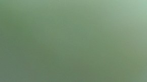 5 apps que salvan vidas y evitan accidentes por distracción