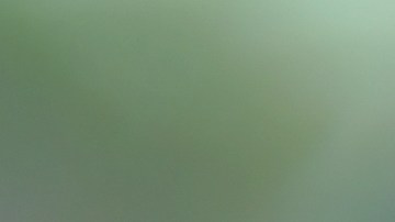 5 apps que salvan vidas y evitan accidentes por distracción