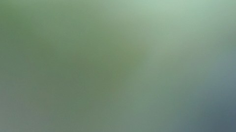 5 apps que salvan vidas y evitan accidentes por distracción