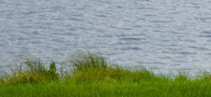 Ford Bronco Roadster OG Concept es un homenaje a 1966.