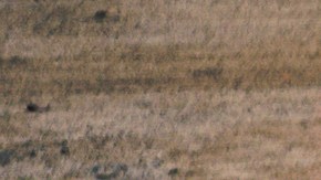 Chrysler Pacifica Grizzly Peak concept está pensada para escapadas fuera de la ciudad.