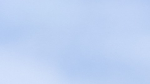 Marcas que fueron de Ford y no lo sabías