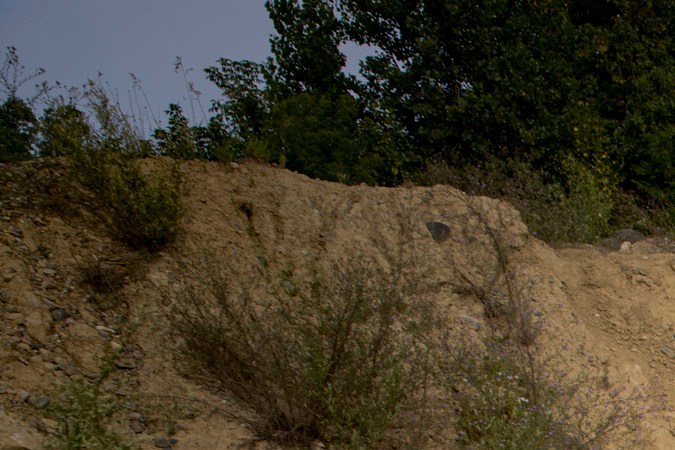 Jeep Cherokee 2026 ofrece capacidades todoterreno.