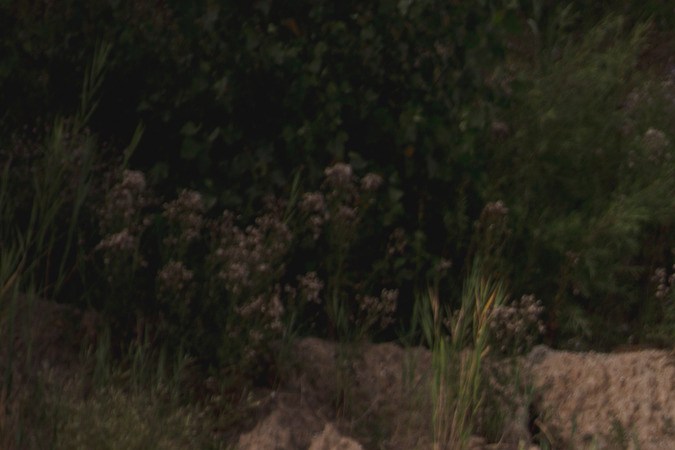 Jeep Cherokee 2026 tiene un espíritu aventurero.