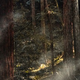 Mitsubishi Outlander Trail Edition 2025 es ideal para la aventura.