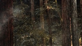 Mitsubishi Outlander Trail Edition 2025 es ideal para la aventura.