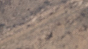 Nissan Frontier Pro-4X Roush 2026 guarda un estilo más agresivo.