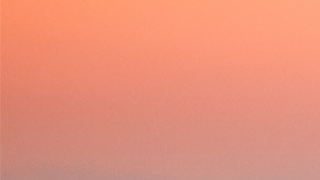 Nissan GT-R R35: 48,000 unidades y un final épico en Midnight Purple