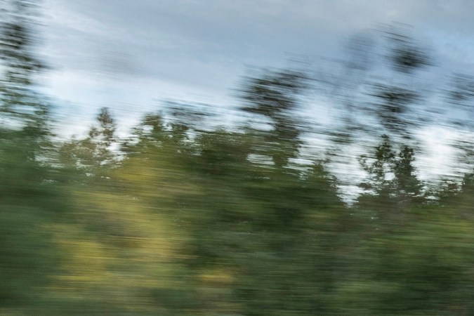 Descubre el VW Golf R Black Edition 2025: potencia y estilo en un hot hatch único.