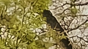 automóvil en medio de la vía del tren