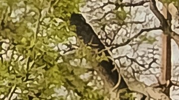 automóvil en medio de la vía del tren