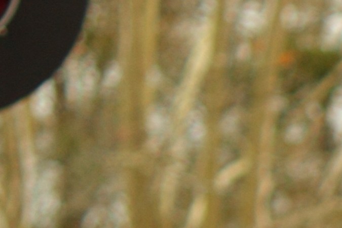 cruce de vías del tren