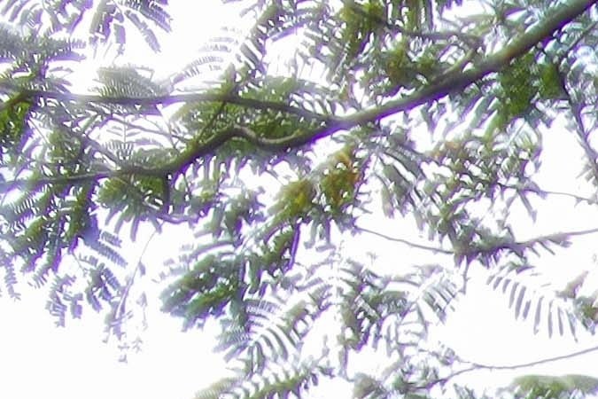 capó bloqueado sin querer cerrar