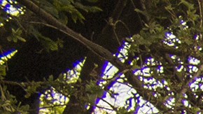 vehículo de aventura