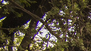 vehículo de aventura