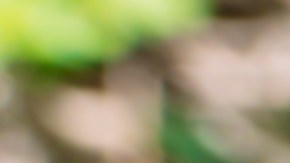 conducir con una botella abierta