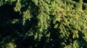 conducir en carreteras rurales