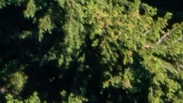 conducir en carreteras rurales