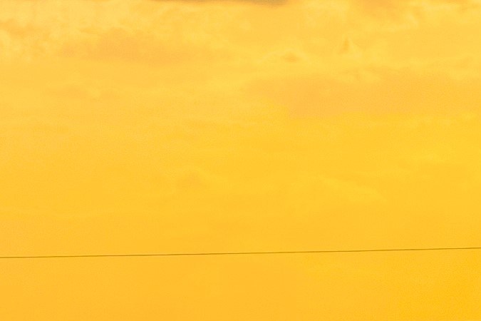 animales en carreteras rurales