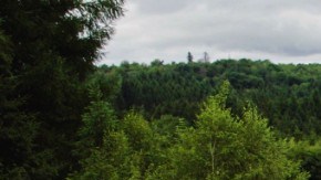 Chevrolet Corvette ZR1X, ZR1 y Z06 exhibieron su potencia en Nürburgring.