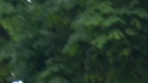 Ferrari busca que sus autos eviten ser dañados por bordillos.