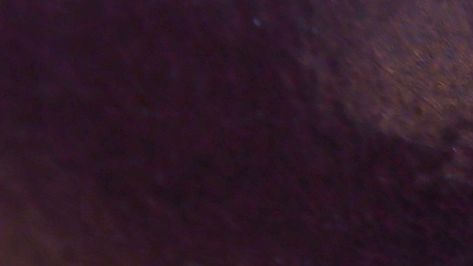 Ford planea competir contra las marcas chinas en autos eléctricos.