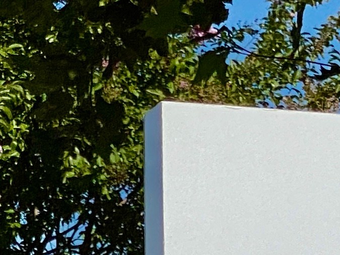 solicitud del examen de manejo en DMV