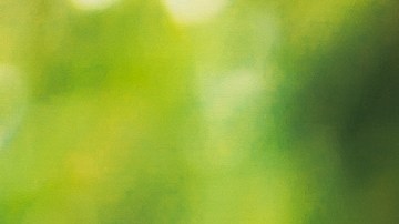 heridos durante accidente de tránsito