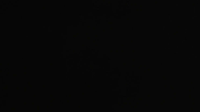 Honda F1 RA272 de 1965 modelo a escala es una replica exacta.