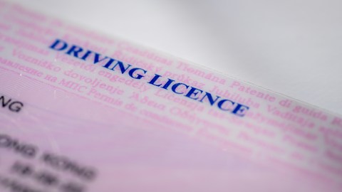 licencia provisional en usa