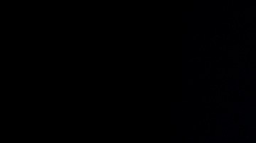 licencia revocada en usa