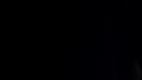 licencia revocada en usa